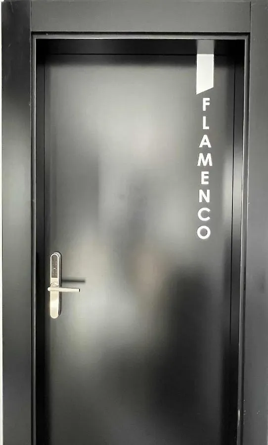 Apartamento Flamenco modern y luxury Málaga